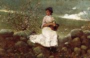 Winslow Homer Peach bloom oil painting reproduction